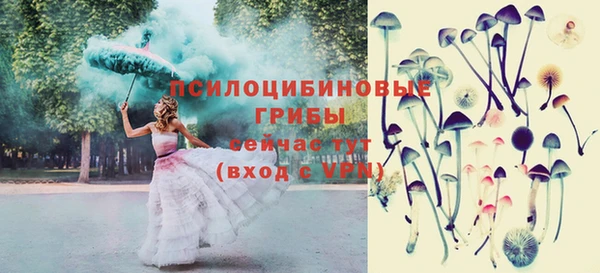 мяу мяу мука Белоозёрский