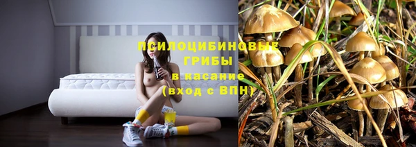 амф Беломорск