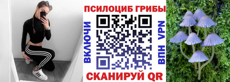 Псилоцибиновые грибы Magic Shrooms  MEGA ТОР  Щёкино  дарнет шоп 